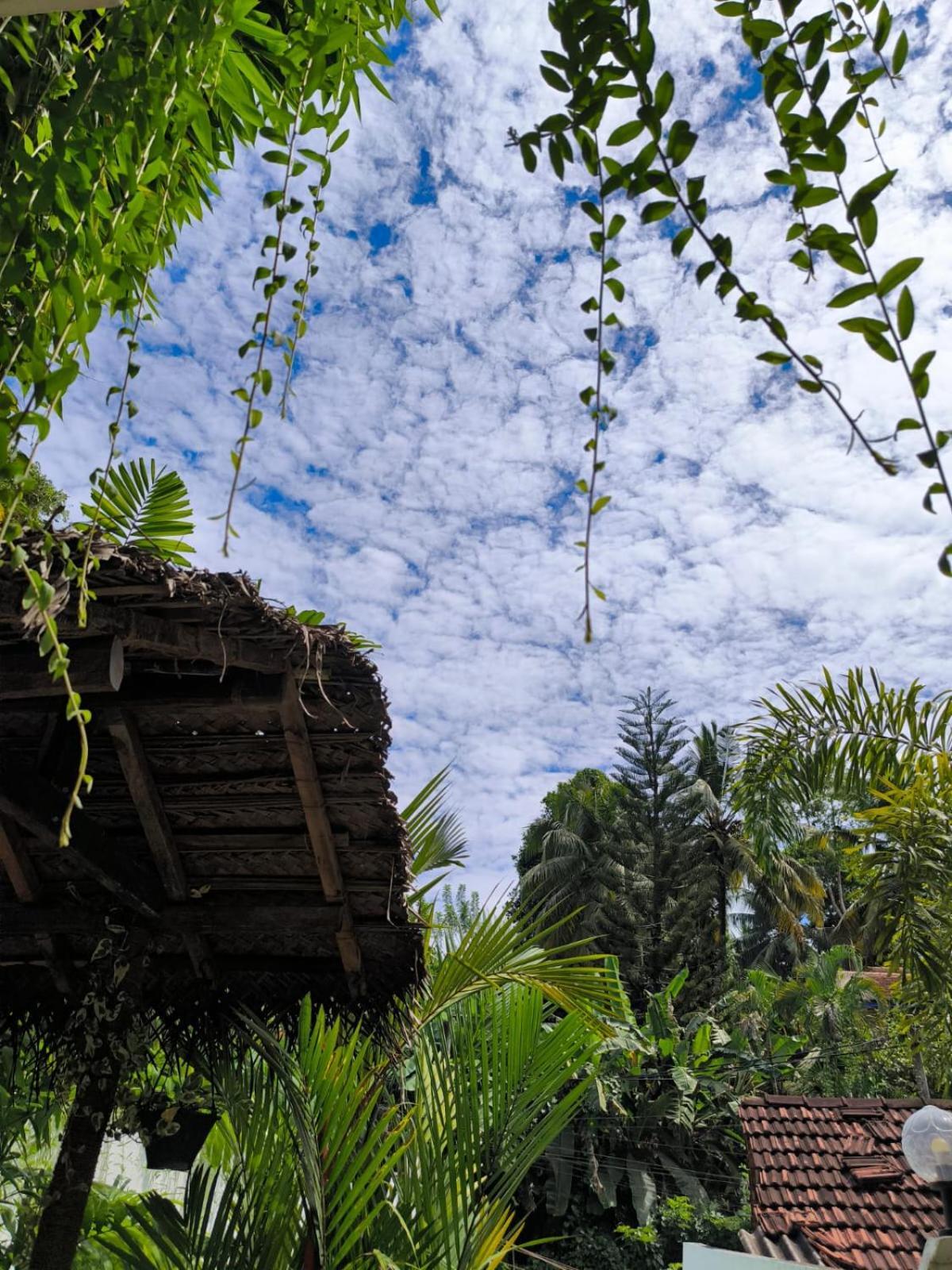Hidden Villa Hikkaduwa Extérieur photo